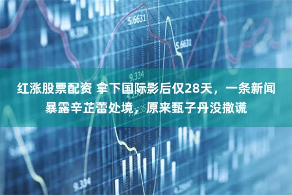 红涨股票配资 拿下国际影后仅28天，一条新闻暴露辛芷蕾处境，原来甄子丹没撒谎