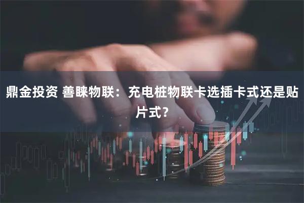 鼎金投资 善睐物联：充电桩物联卡选插卡式还是贴片式？