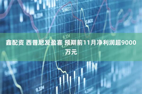 鑫配资 西普尼发盈喜 预期前11月净利润超9000万元