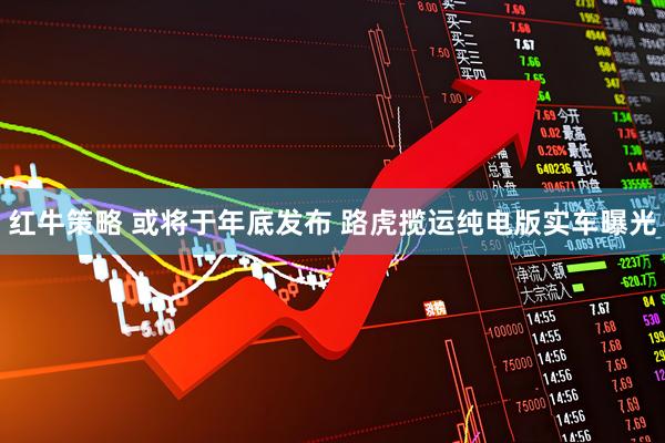 红牛策略 或将于年底发布 路虎揽运纯电版实车曝光